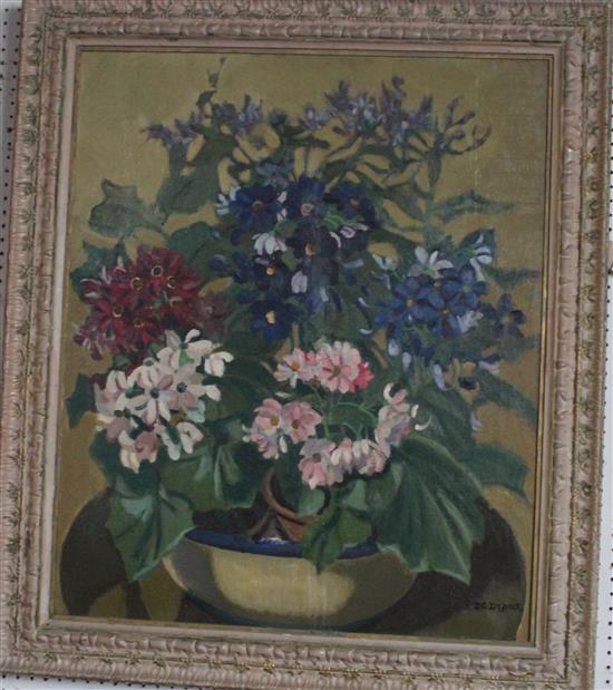 Dorothy Graham Dymouk (1881-1984) Still life, cinerias in terracotta pots, 30 x 24.5in(-)